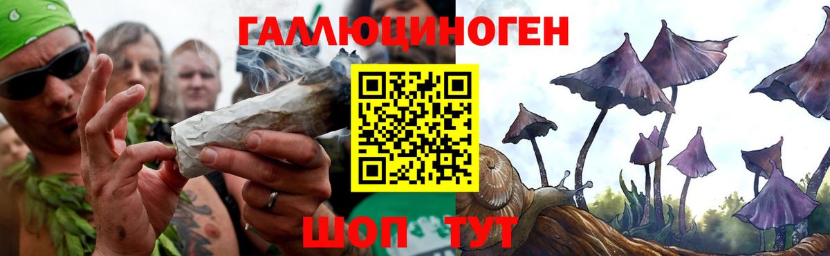 Балтийск  Галлюциногенные грибы MAGIC MUSHROOMS  закладки  Вход с VPN 