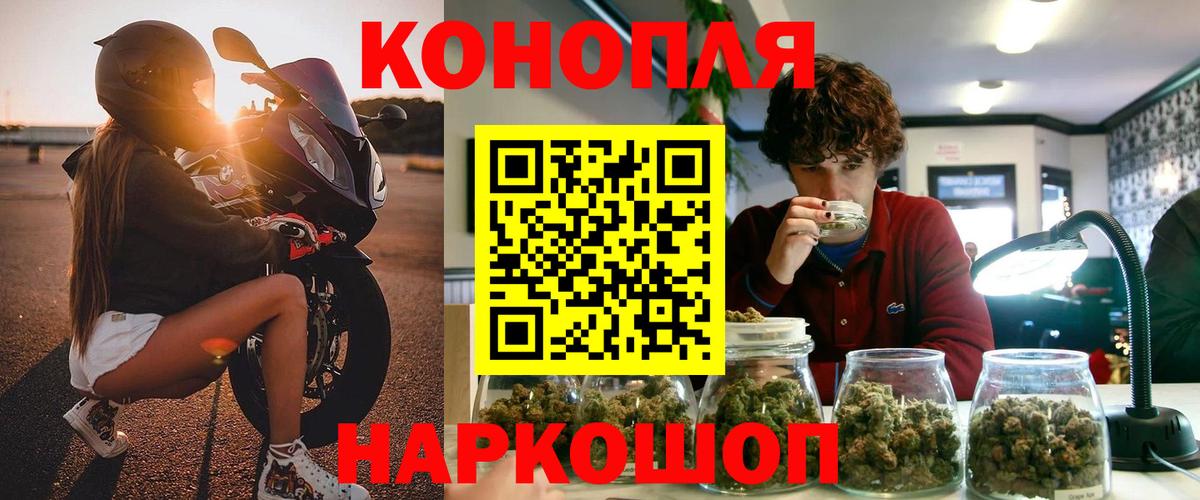 Канабис Bruce Banner Балтийск